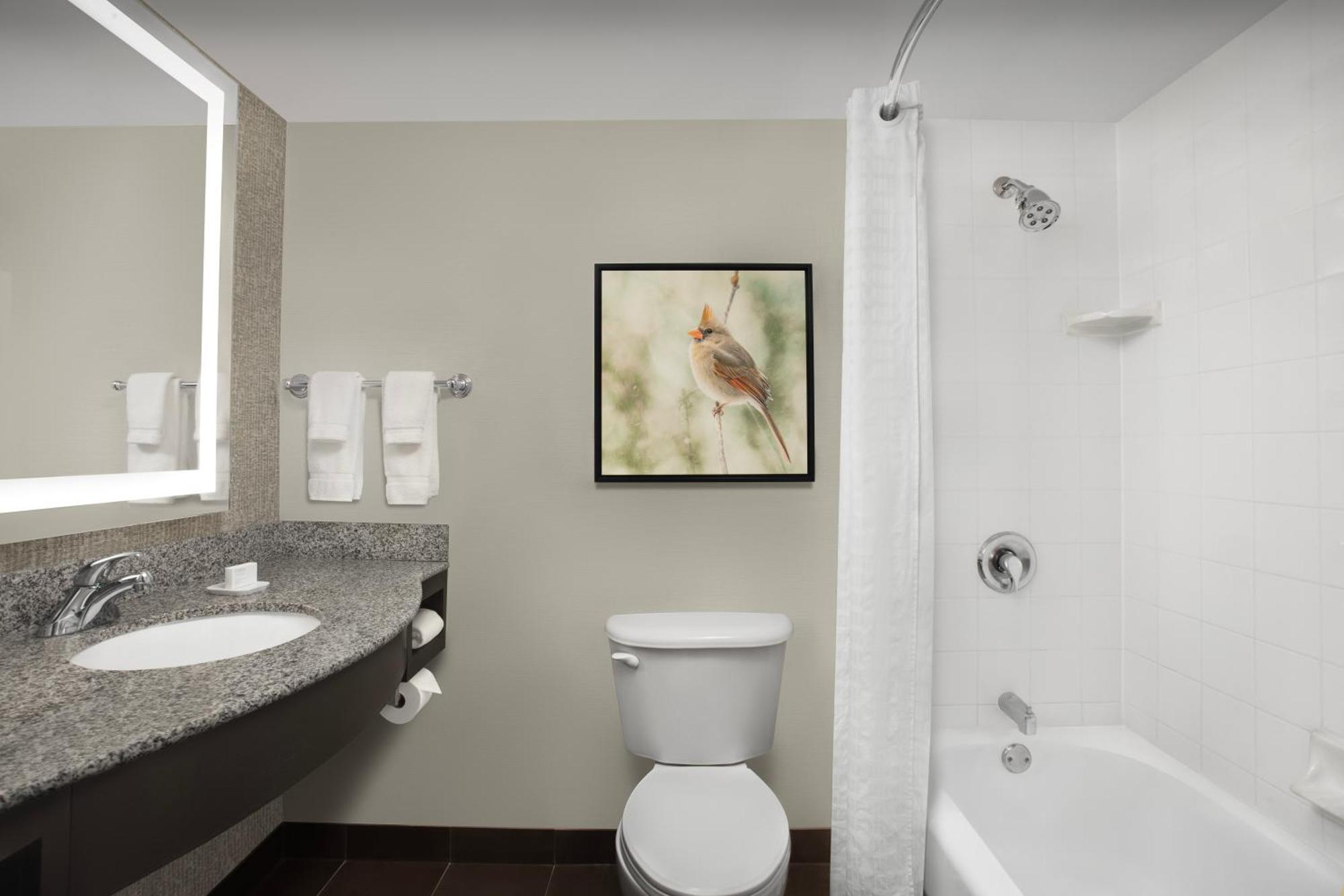 Hilton Garden Inn Hoffman Estates Esterno foto