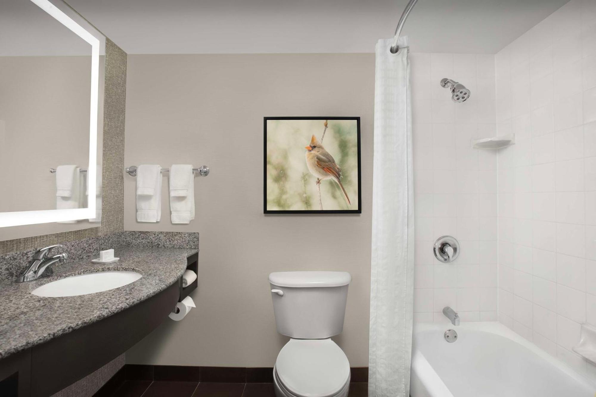 Hilton Garden Inn Hoffman Estates Esterno foto